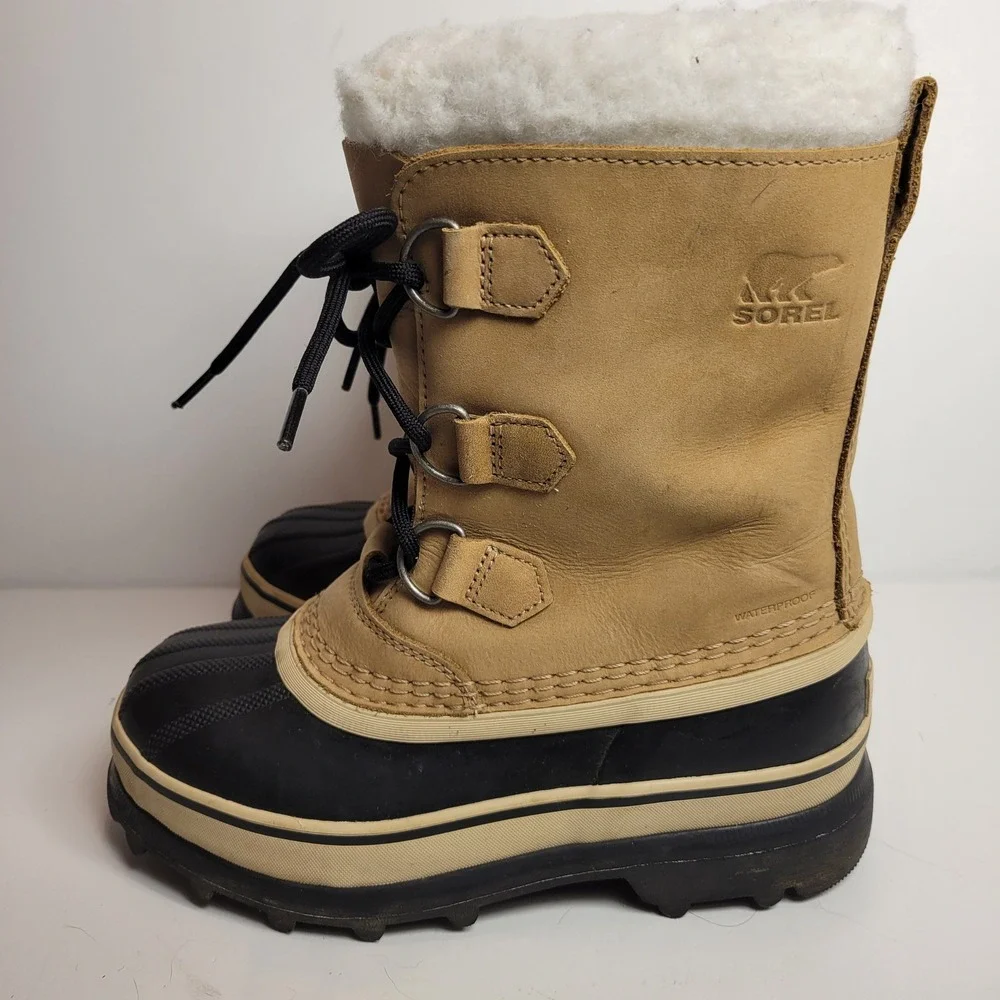 Sorel caribou winter
